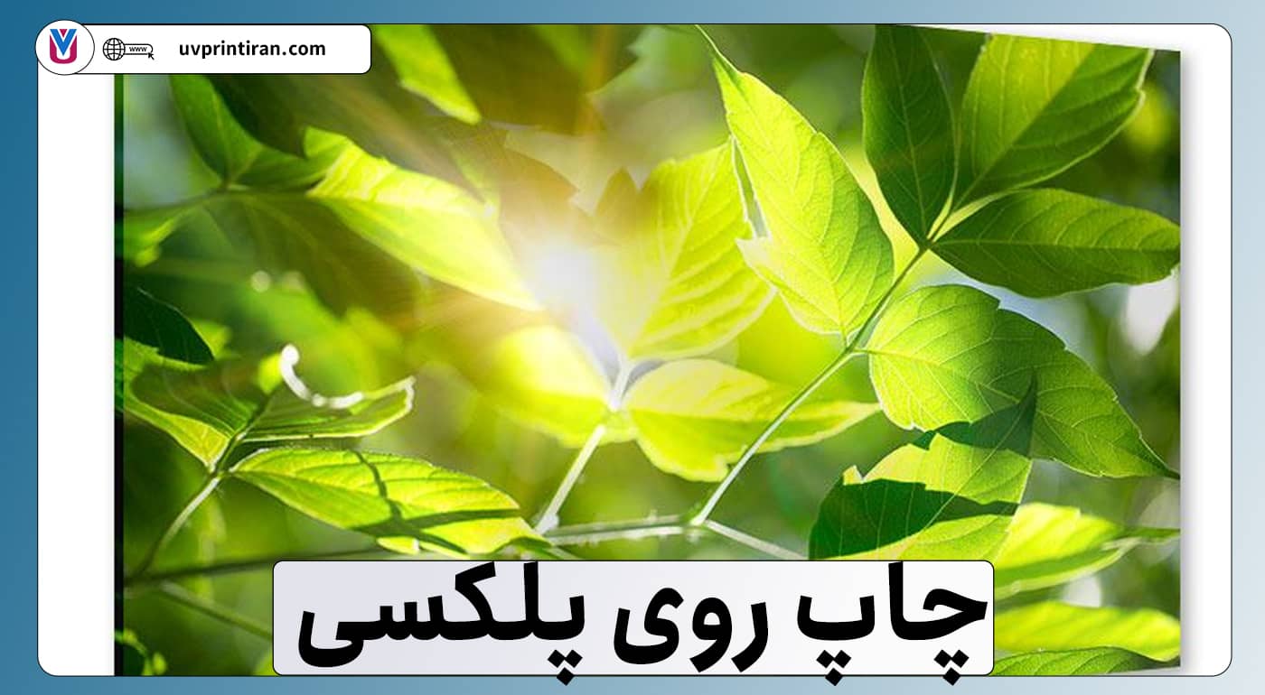 چاپ