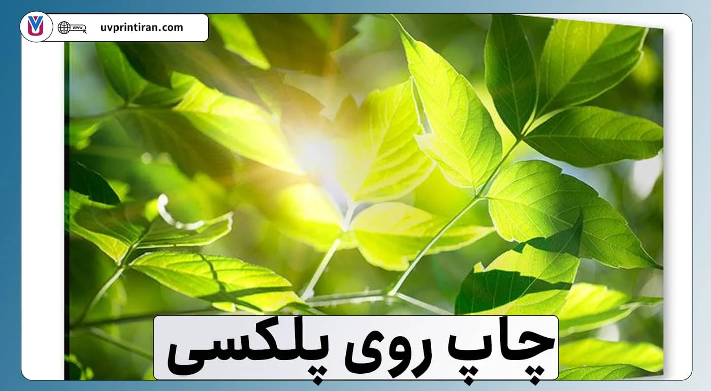 چاپ