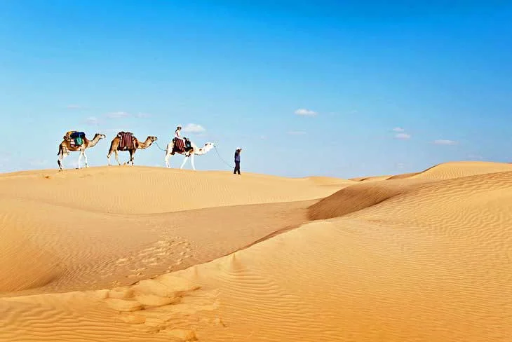 خانواده