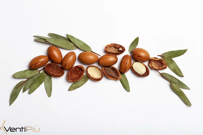 روغن
