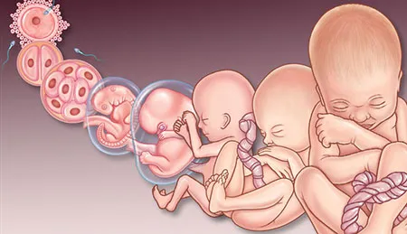 Points to follow in the seventh month of pregnancy