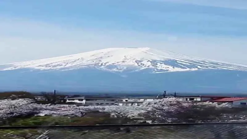 گردشگری و مهاجرت