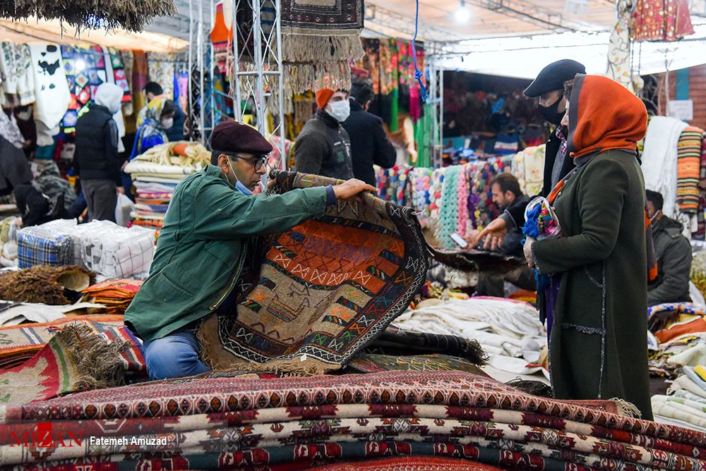 گردشگری و مهاجرت