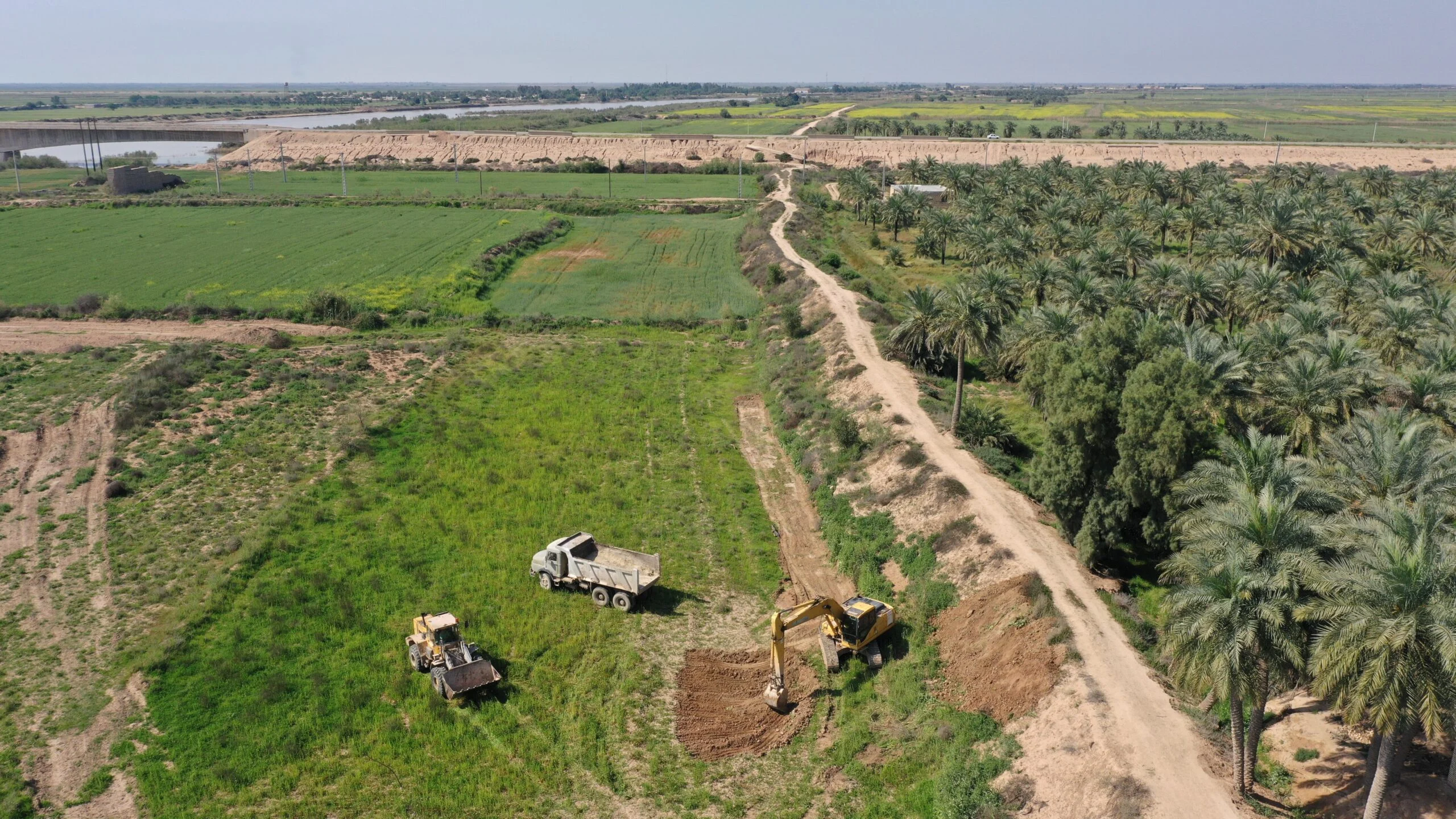 گردشگری و مهاجرت