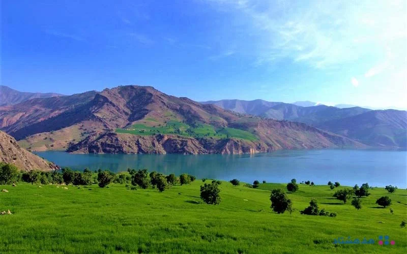 گردشگری و مهاجرت