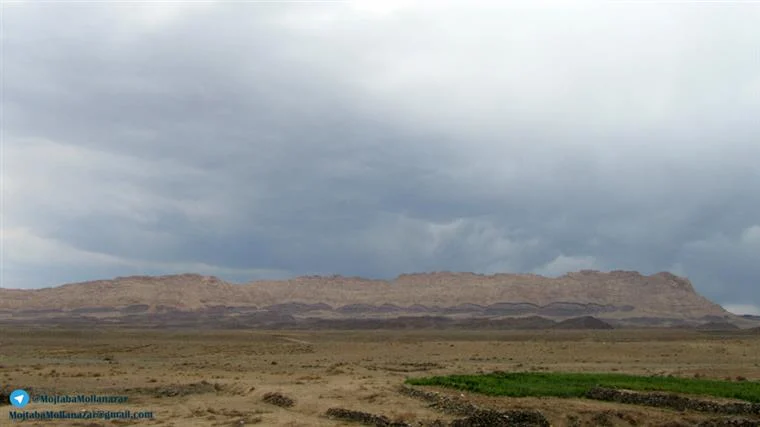 گردشگری و مهاجرت