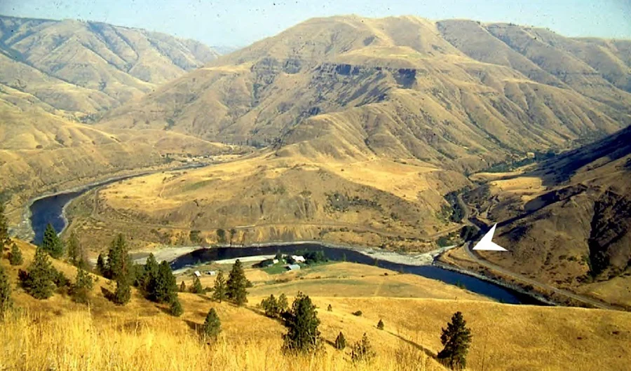 گردشگری و مهاجرت