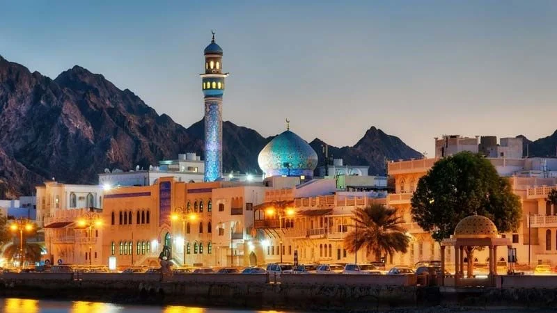 گردشگری و مهاجرت