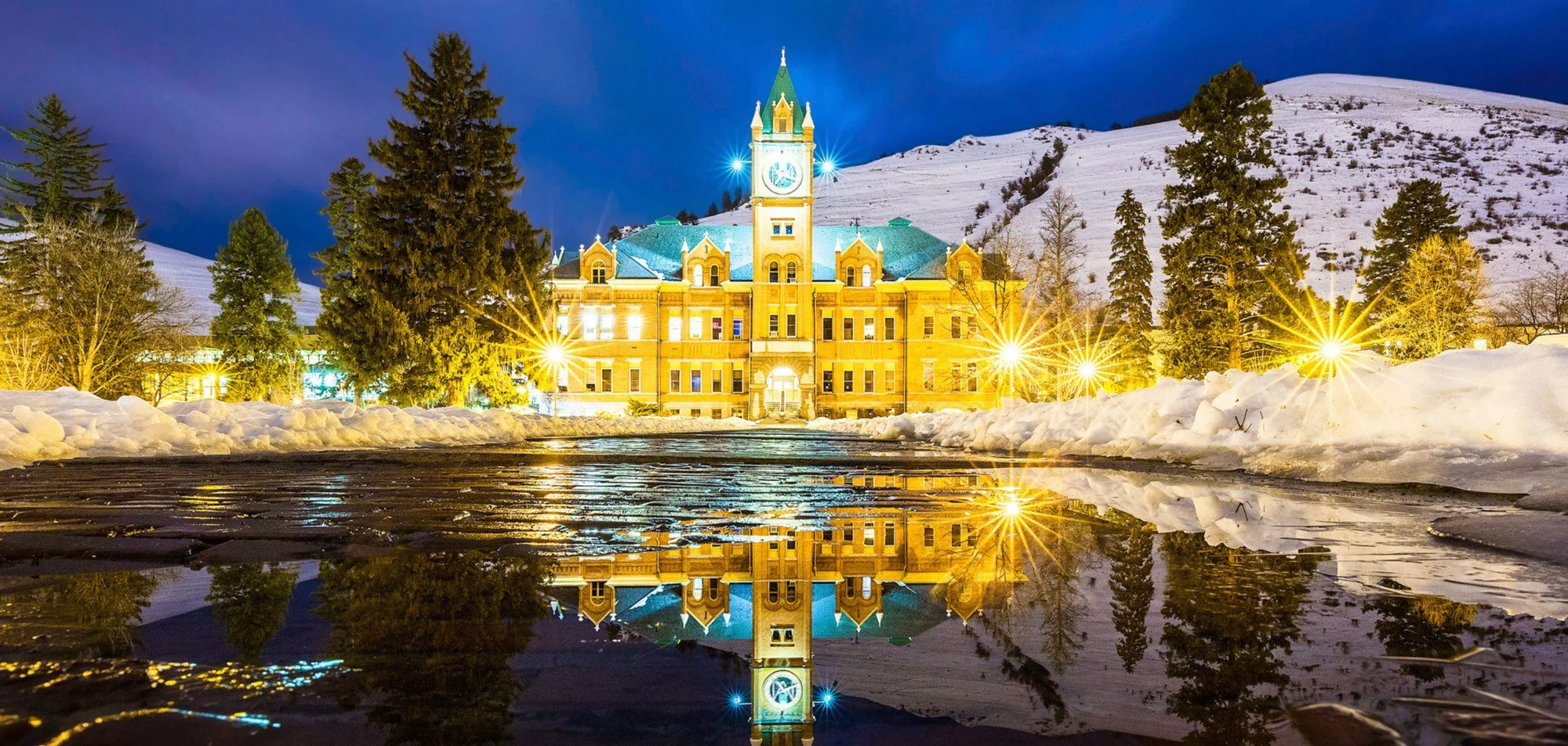 گردشگری و مهاجرت