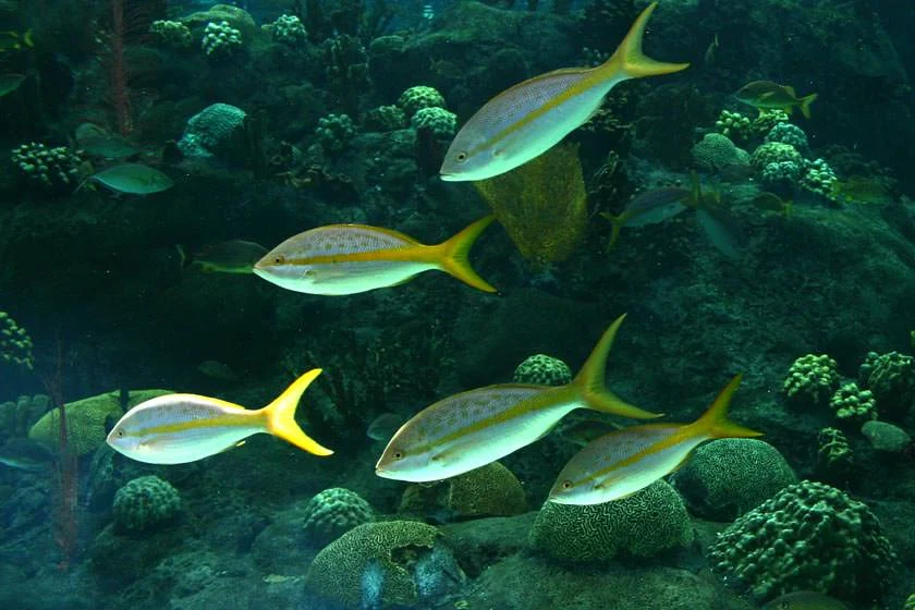 گردشگری و مهاجرت