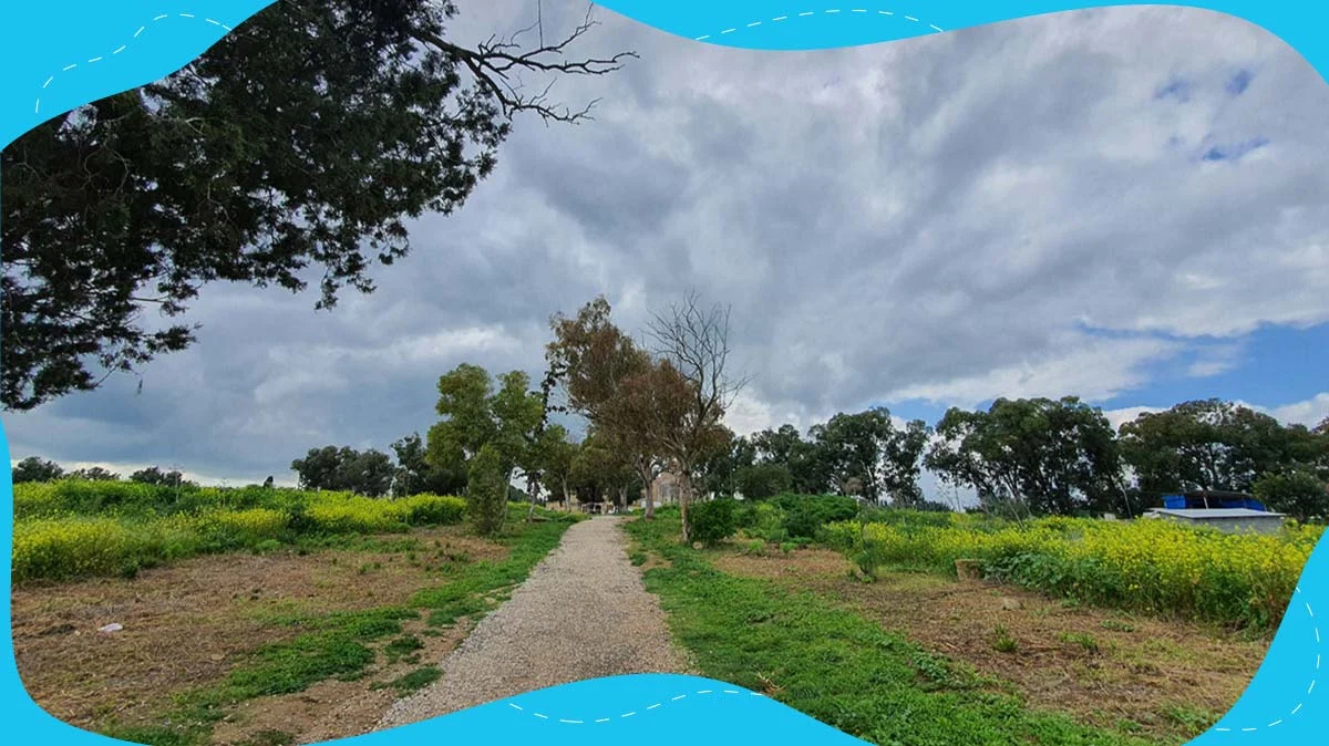 گردشگری و مهاجرت