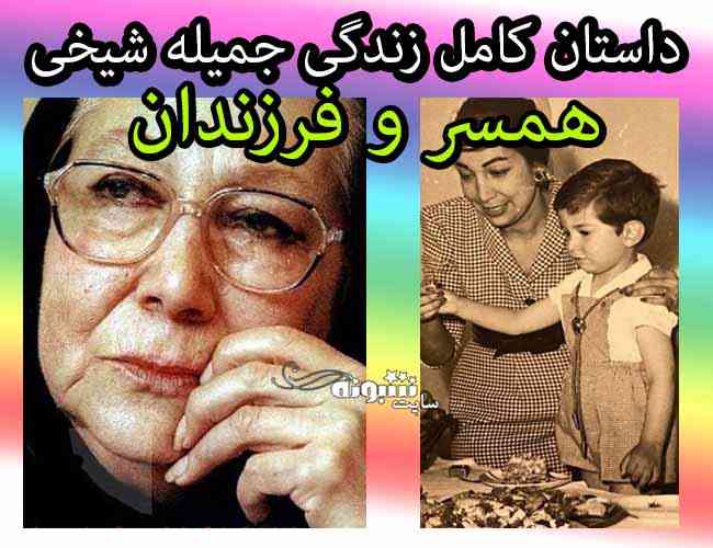 عمومی