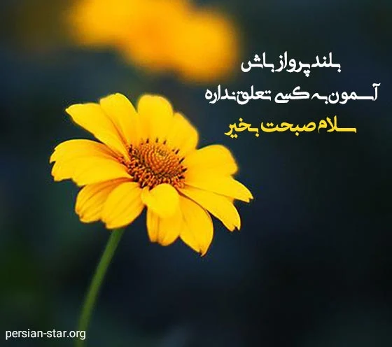 عمومی