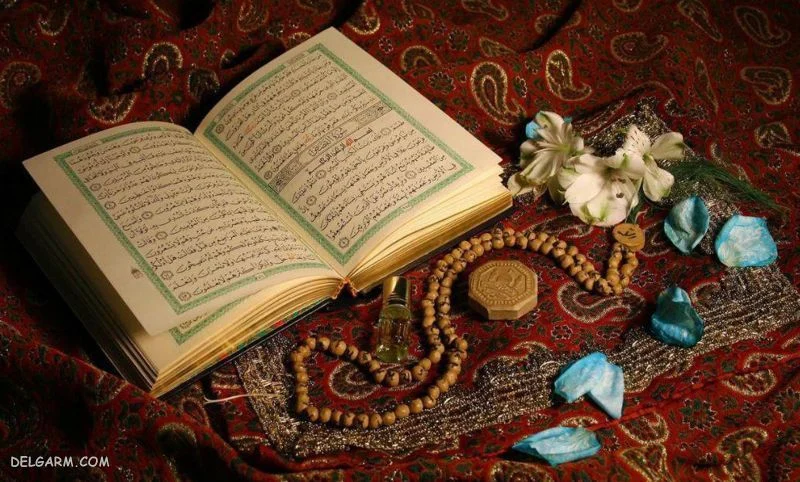 عمومی