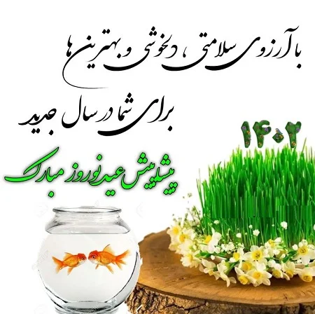 عمومی
