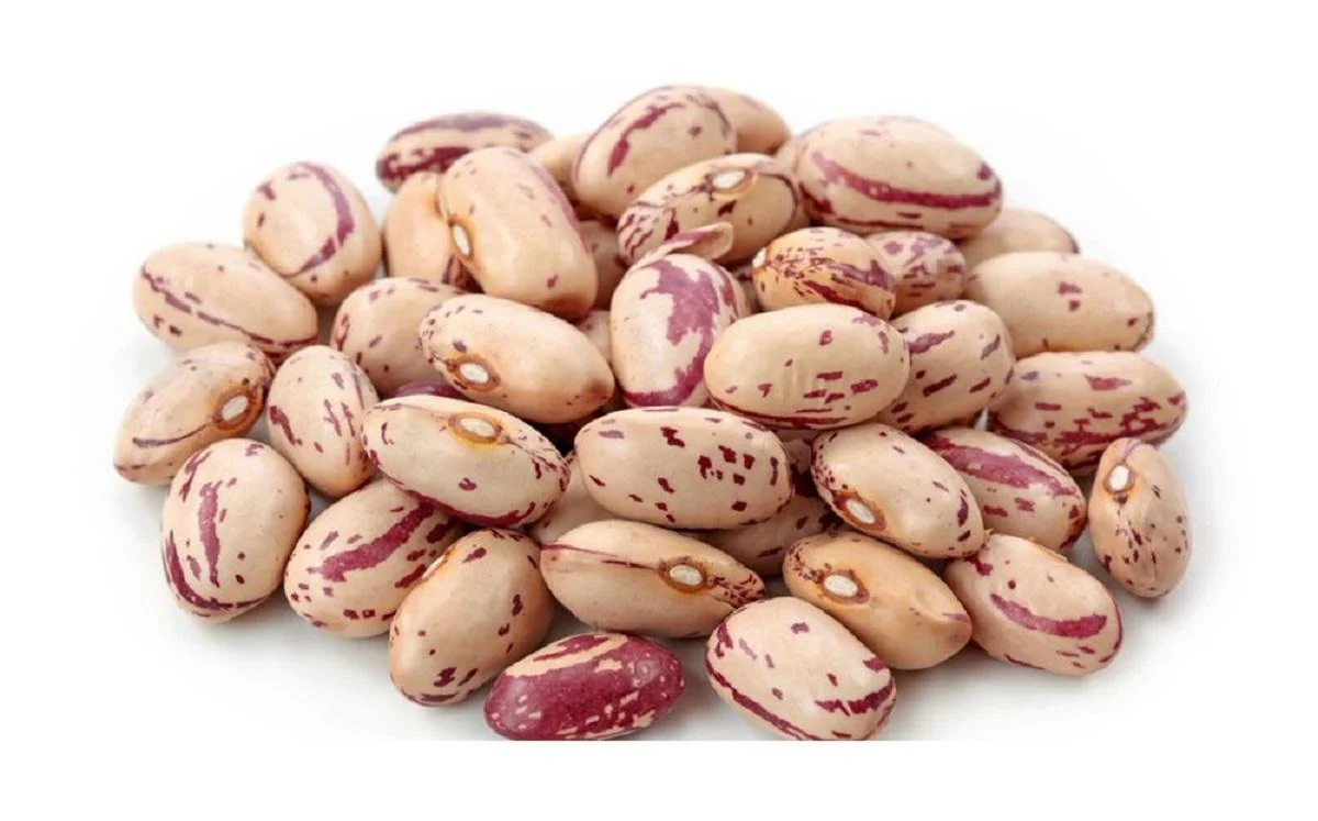 عمومی