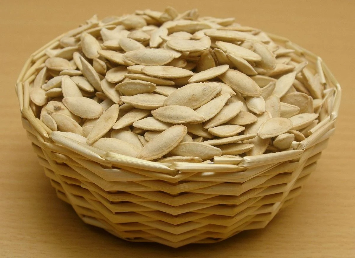 عمومی