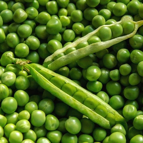 عمومی