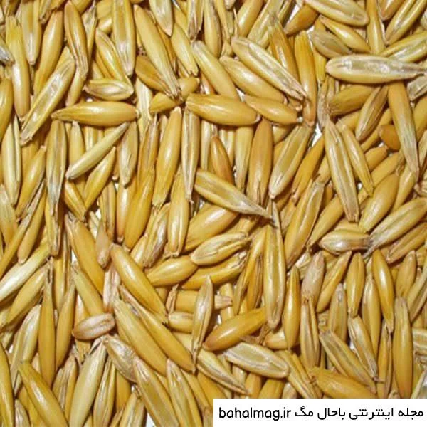 عمومی