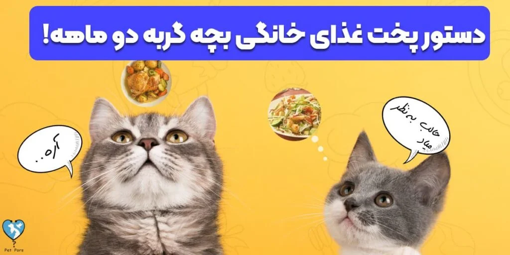 صنعت و تجارت