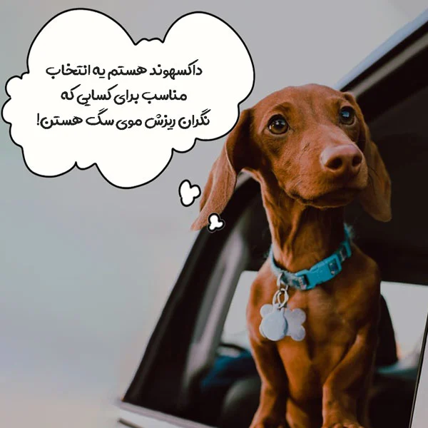 صنعت و تجارت