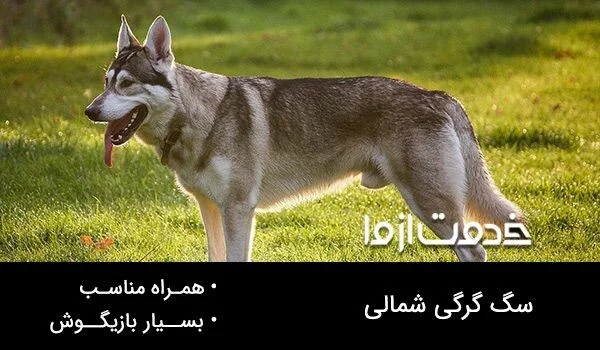 صنعت و تجارت