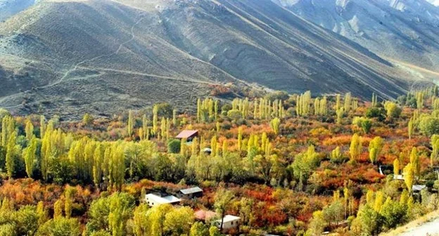 گردشگری و مهاجرت