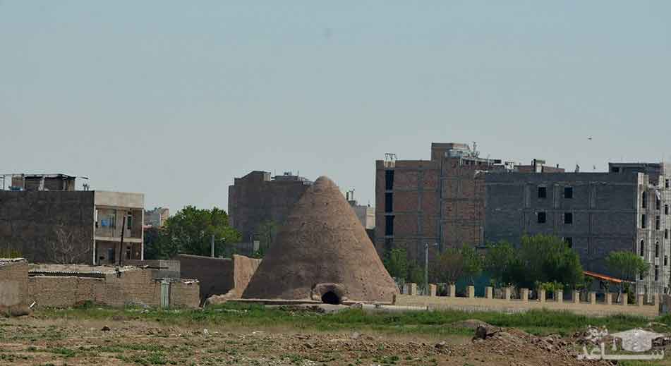 گردشگری و مهاجرت