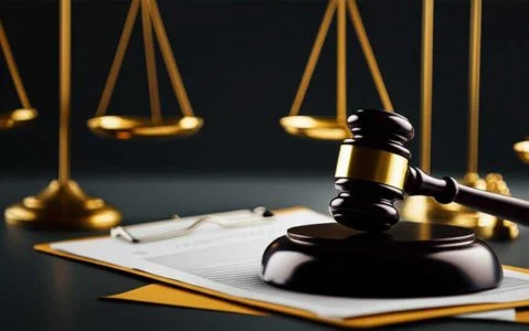 حقوق | وکیل